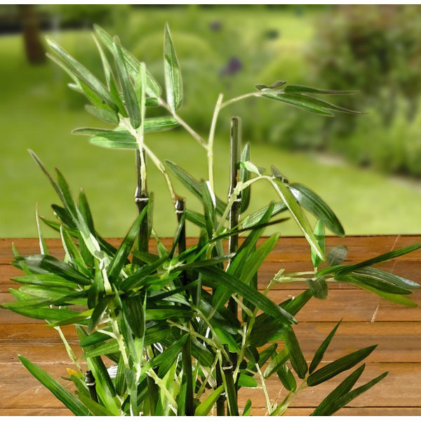 Primrue 18'' Faux Bamboo Plant in Pot & Reviews Wayfair